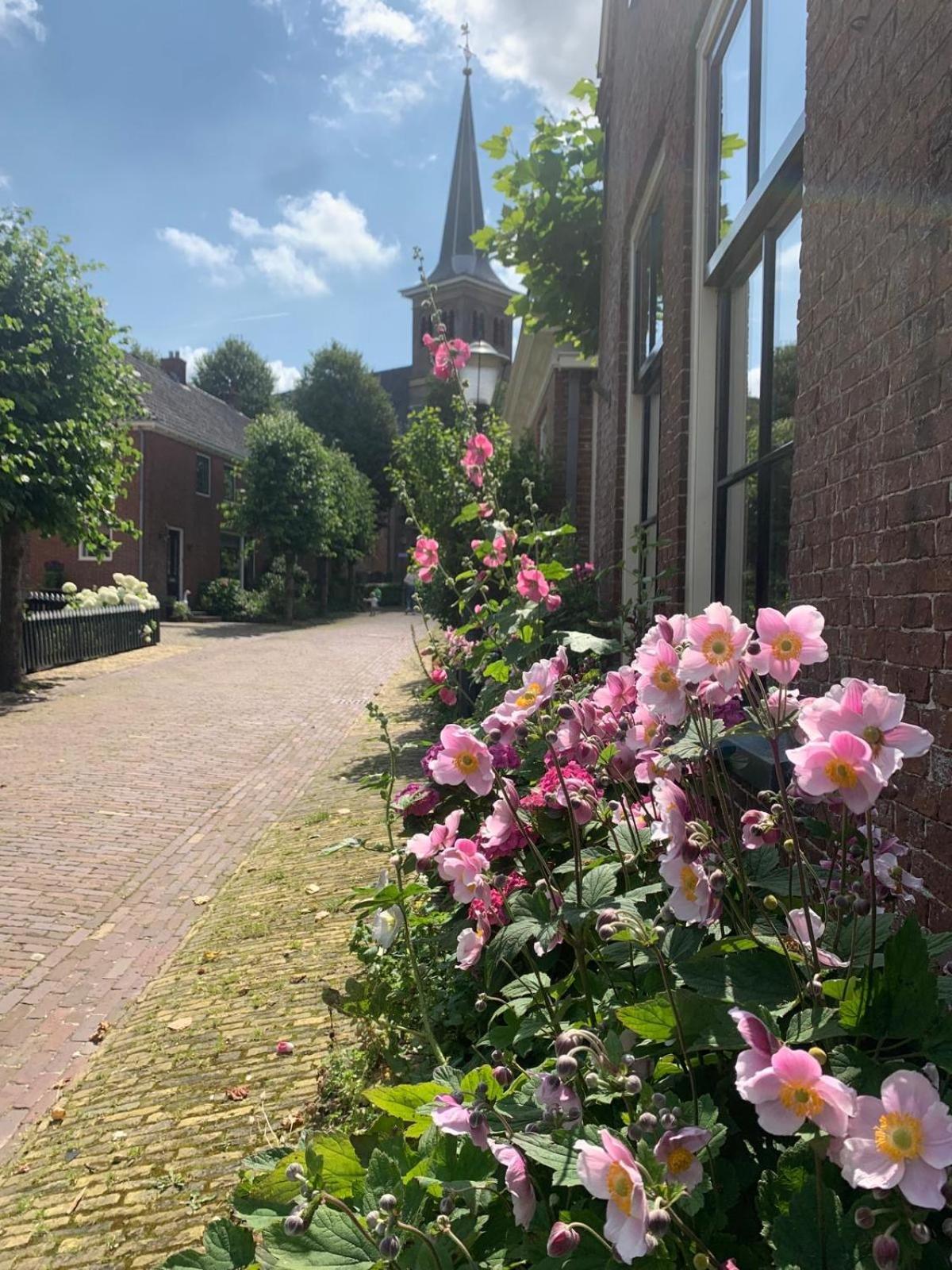"Het Steechje" In Ie Bij Schiermonnikoog En Ameland Apartment Ee Exterior photo